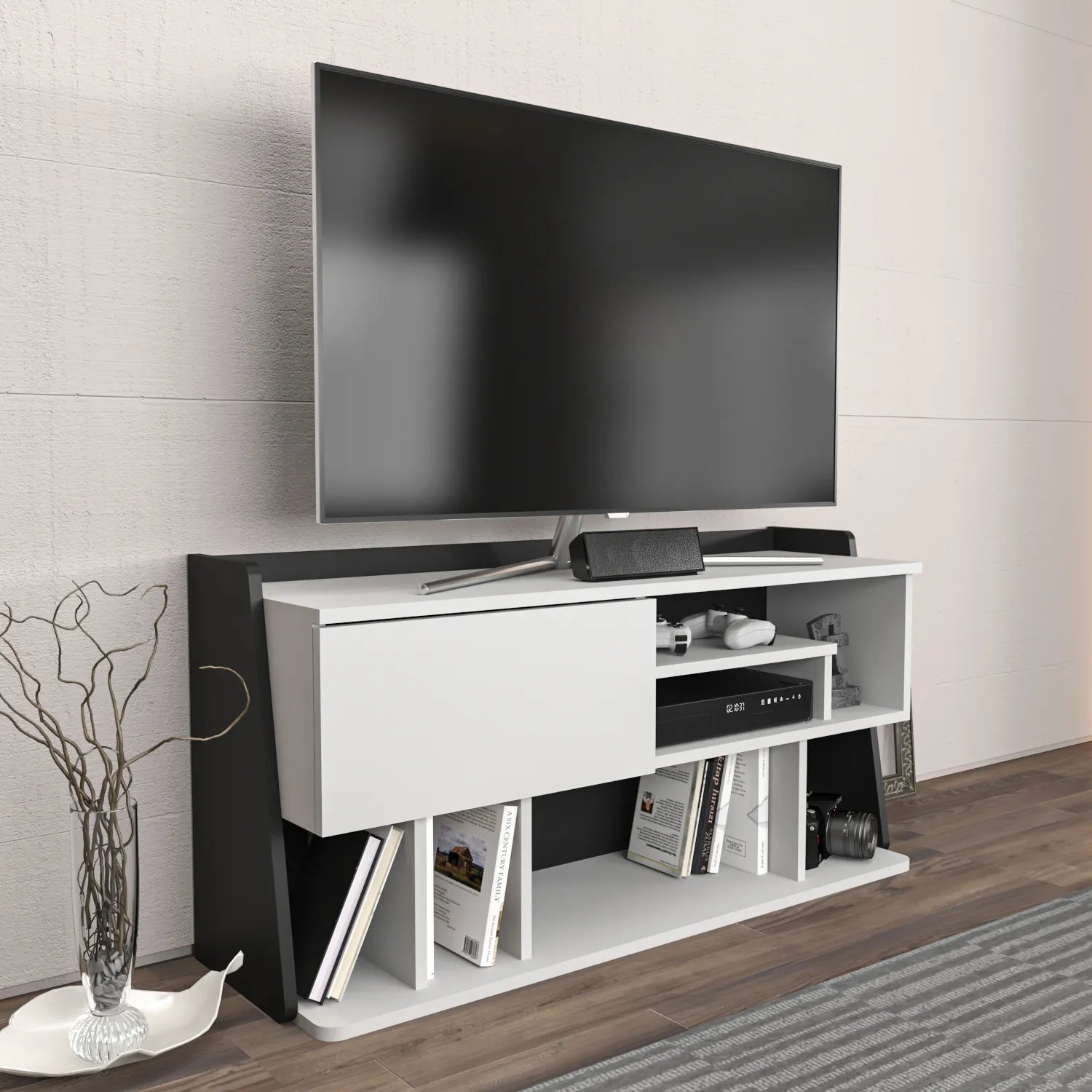 Raca 47" Wide TV Stand and Media Console for TVs up to 55"