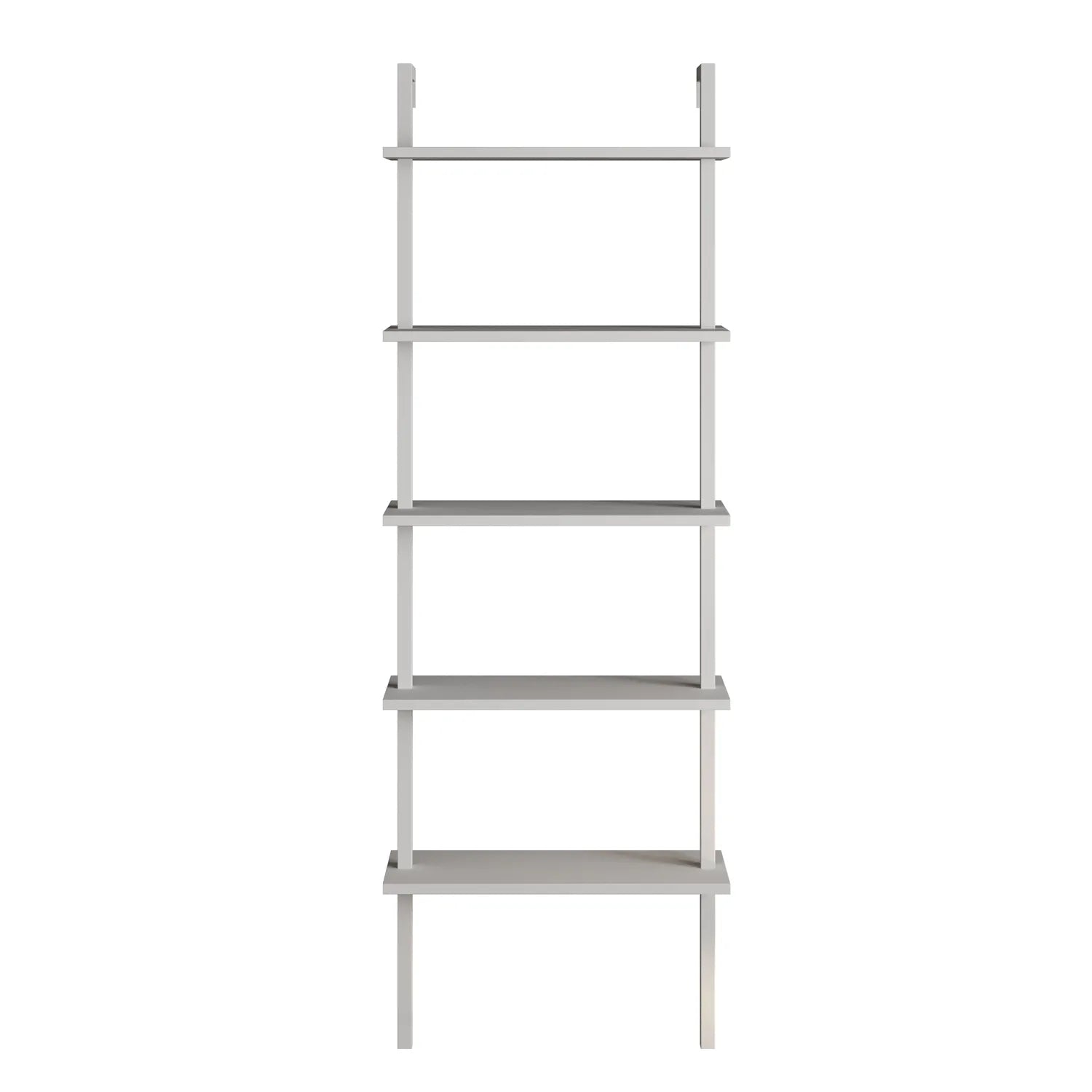 piante ladder bookcase white background