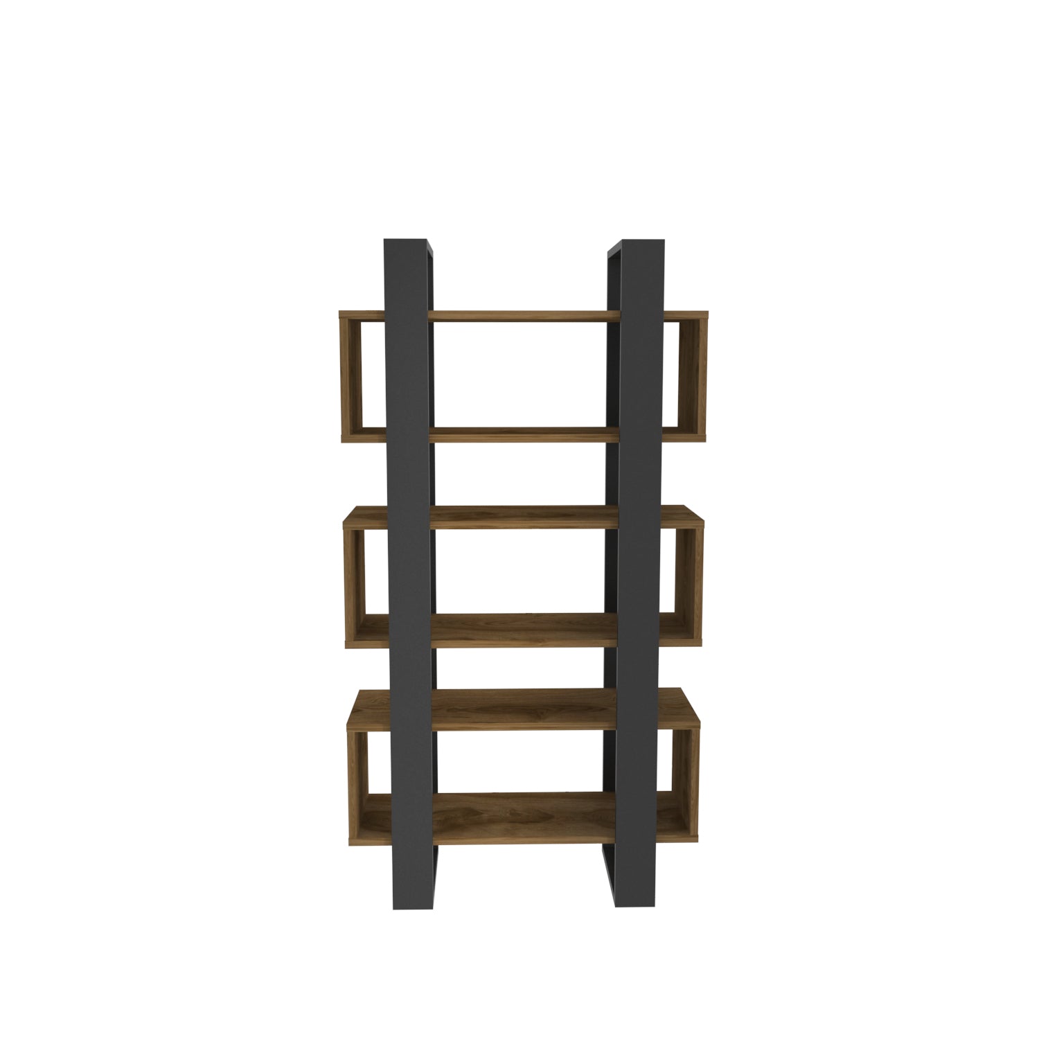 Reina 59" Tall Bookcase