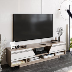 Aspatria 63" TV Stand and Media Console with Cabinets and Shelves fro TVs up to 72" - Decorotika